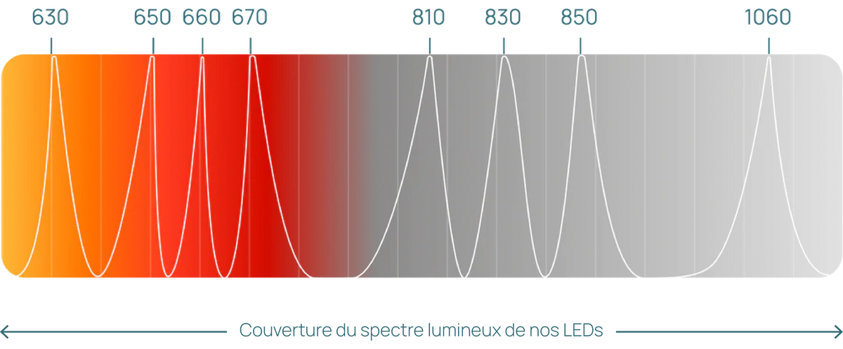 Couverture du spectre lumineux de nos LED.