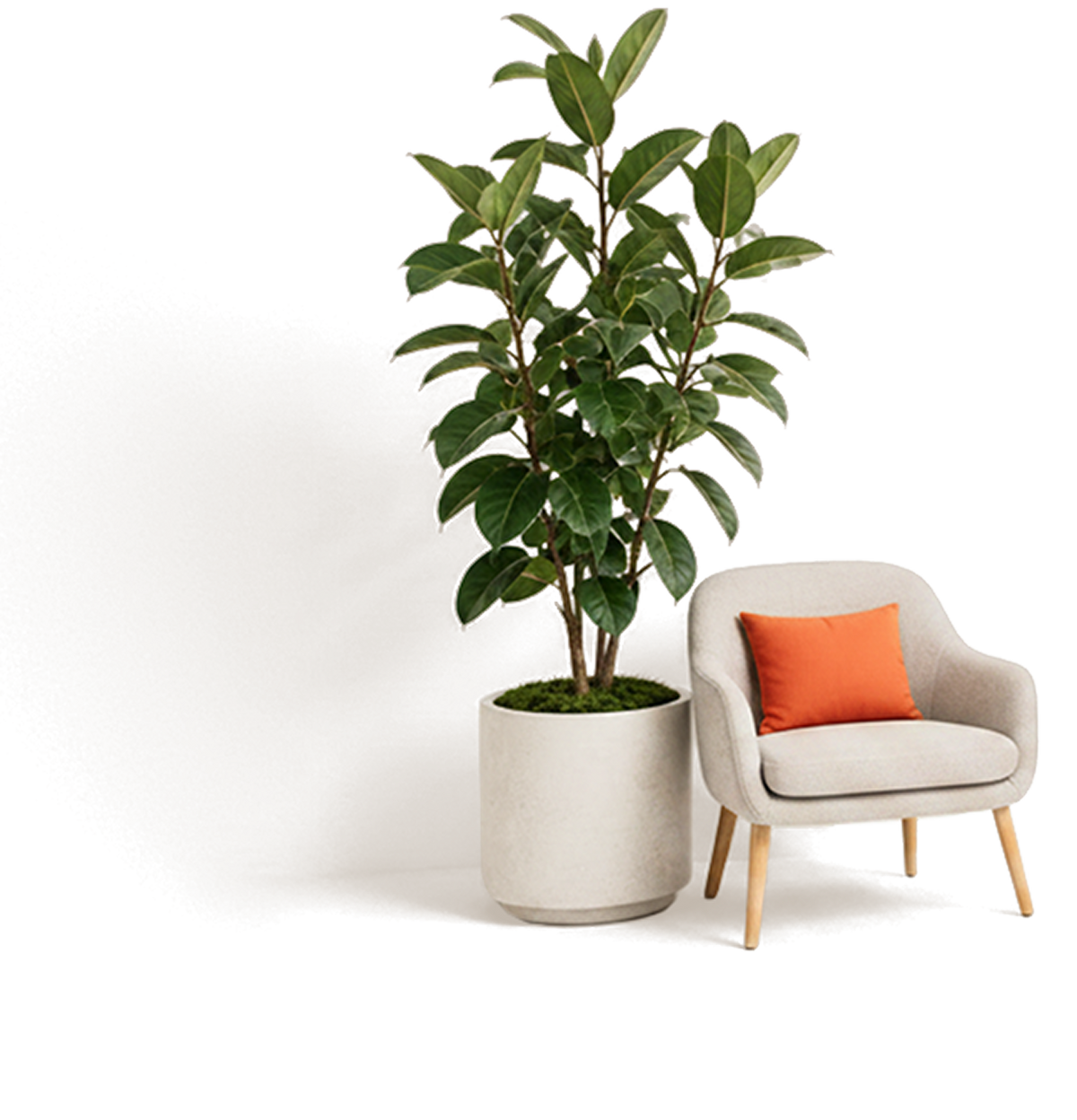 Horizon in a lifestyle setting